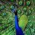 Maryam Saidu Umar - Facebook