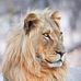 Maryam Umar - Facebook