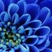 Maryam Umar - Facebook