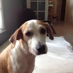 Mary Ann Abrams - Facebook