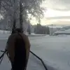 maryanneandersen2 - @maryanneandersen2 - TikTok