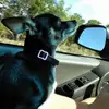 maryannmayers - @maryannmayers - TikTok