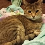 Mary Ann Bender - @maryannbender823 - Instagram