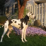 Mary Ann Granell Bender - @mary_ann_bender - Instagram