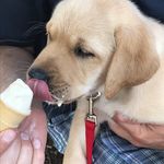 Maryann Bennett - @bennett_maryann - Instagram