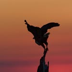 Mary-Ann Van Der Berg - @maryannvanderberg - Instagram