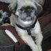 Maryann Bertram - Facebook