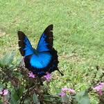 Mary Ann Breen - @maryann.breen.9 - Instagram