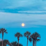 MaryAnn Tuddy Breen - @tudbre3 - Instagram