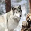 Mary Ann McCain - @mary.ann.mccain6 - TikTok