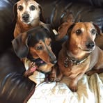 Maryann Carnes - Facebook