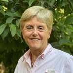 Mary Ann Chamberlain - @maryannchamberlain_chile - Instagram