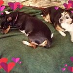 maryann chambers - @marybarychambers - Instagram