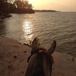 Mary Ann Barrow Clay - @maryannbarrowclay - Instagram