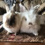 Mary Ann Clayton - @maryannclayton2 - Instagram