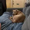 maryann clay - @maryann.clay4 - TikTok
