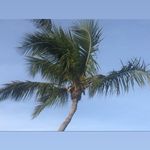 maryann coyle - @mare170 - Instagram