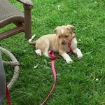Mary Ann DeCarlo Cruser - @maryanndecarlocruser - Instagram