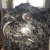 Maryann Desantis - Facebook