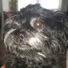 maryanndesantis32 - @maryanndesantis32 - TikTok
