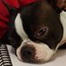 Mary Anne Donovan - Facebook