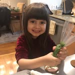 Maryann Doyle Herkimer - @thefarmersdaughterscookies - Instagram