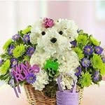 MaryAnn Engle - @maryannengle - Instagram