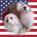 MaryAnn Engle - Facebook
