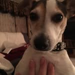 MaryAnn Erickson-Hansen - @maryannhan25 - Instagram