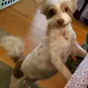 maryannerickson - @maryannerickson - TikTok