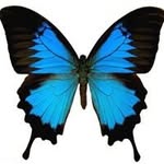 Maryann Fleming - @maryannfleming_art - Instagram