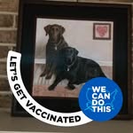 Maryann Gallagher - @sa71quilt - Instagram