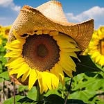 Maryann Gallagher-Little - @texaswichitagirl69 - Instagram