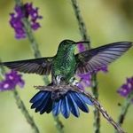 Maryann Gray - @huminbyrdluver48 - Instagram
