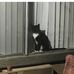 Maryann Gray - Facebook