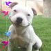 Maryann Gross - Facebook