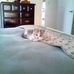 Maryann Hawk - Facebook