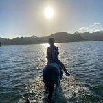 Maryann hawkeswood - @maryannhawkeswoodequestrian - Instagram