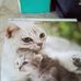 Maryann Hawkins - Facebook