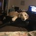 MaryAnn Bonello Hebert - Facebook
