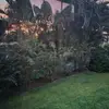 maryannhester4 - @maryannhester4 - TikTok