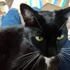 Mary Ann Hooper690 - @maryannhooper690 - TikTok