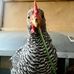 Maryann Keydoszius - Facebook