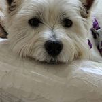 MaryAnn Keyser - @maryannkeyser - Instagram