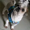 Anne🐾 - @maryann_keyser - TikTok