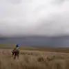 maryannkylee - @maryannkylee - TikTok