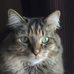 Maryann Larson - @maryannlarson48 - Instagram