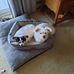 MaryAnn Lawrence - Facebook