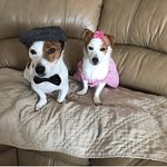 Maryann Manno - @maryann.manno - Instagram