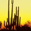 maryannmanning80 - @maryann.manning8 - TikTok